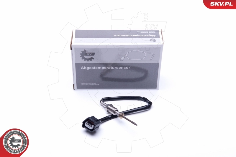 Sensor, exhaust gas temperature